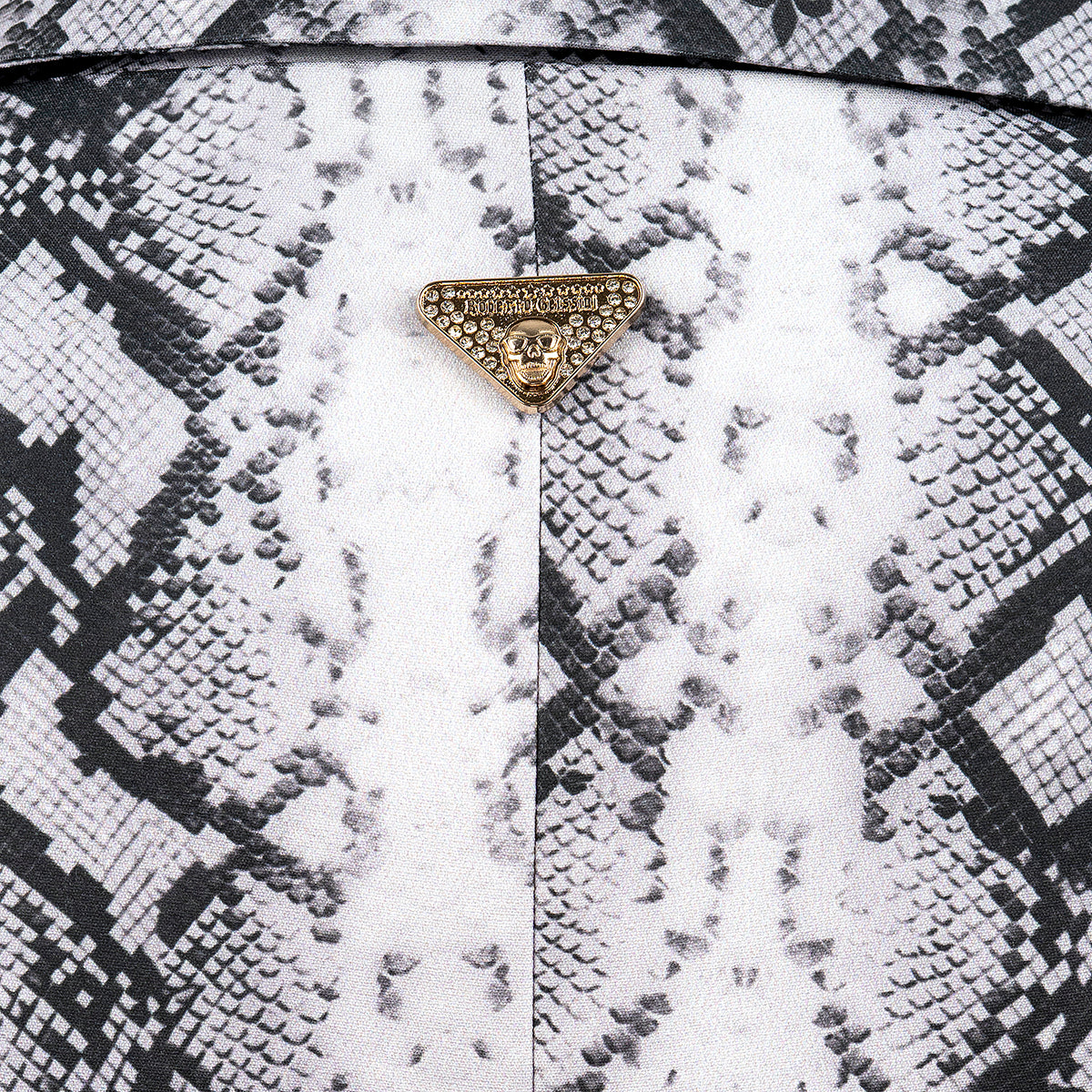 Blazer Snake Summer