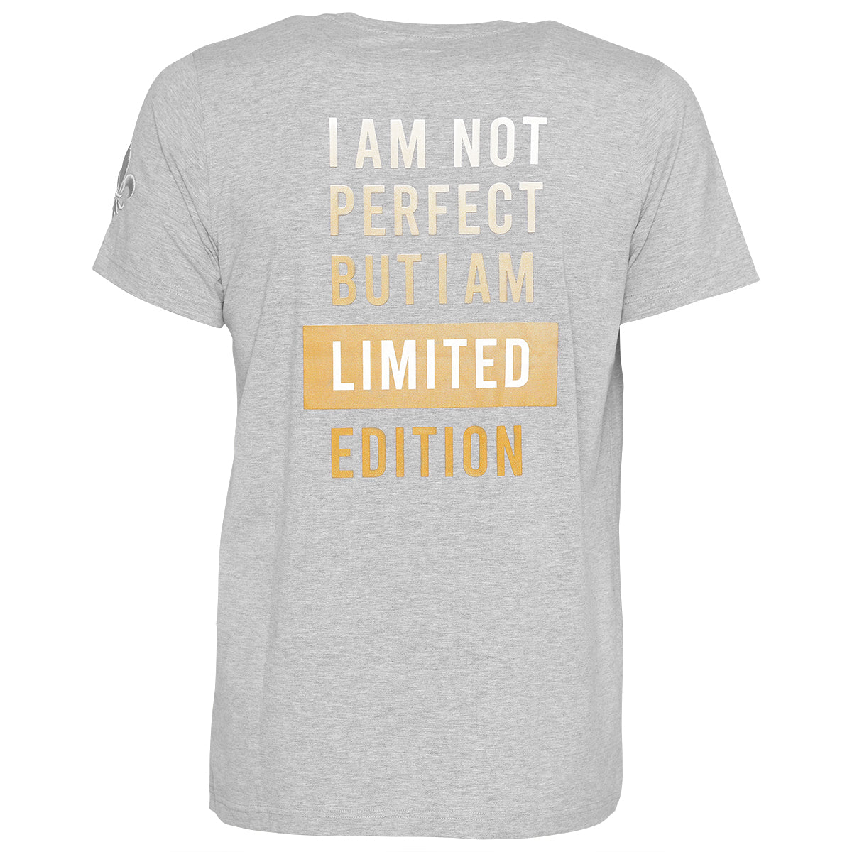 Skull Perfect T-Shirt Gray